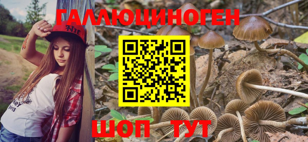 Галлюциногенные грибы мицелий Реж