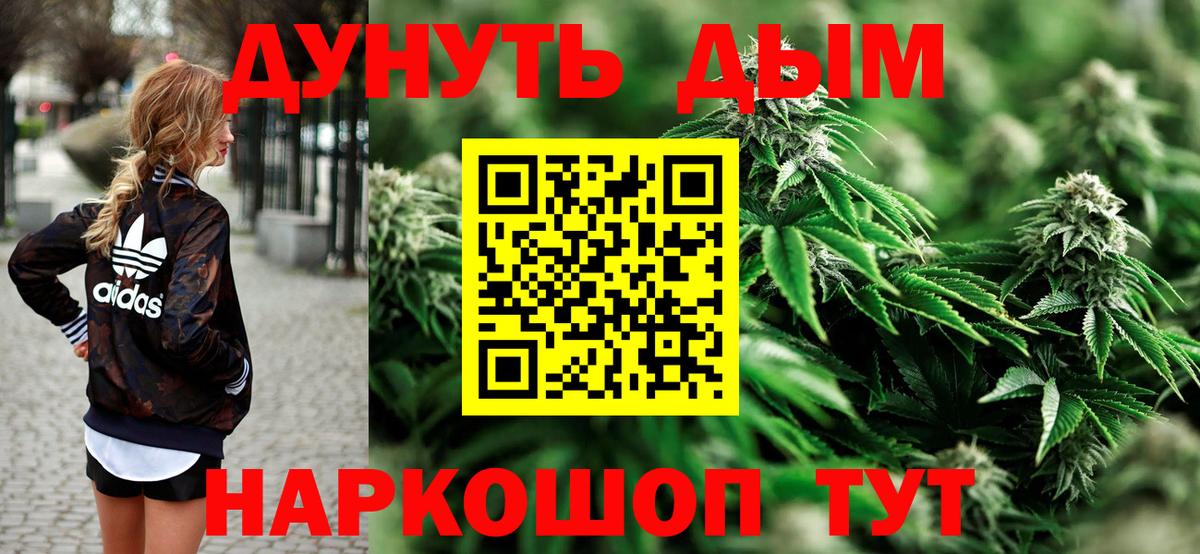 Каннабис White Widow  МАРИХУАНА Ganja  МАРИХУАНА планчик  Вход с VPN  Реж  Марихуана SATIVA & INDICA 